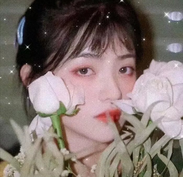 少年岳飞传奇